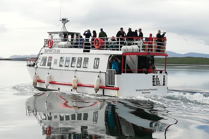 Clew Bay Cruise, Westport ( 90 minutes ) - The seal colony