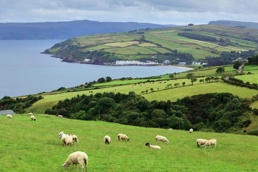 Cliffs of Moher and Blarney 2-Day Tour from Dublin - Bunratty Castle and the return to Dublin