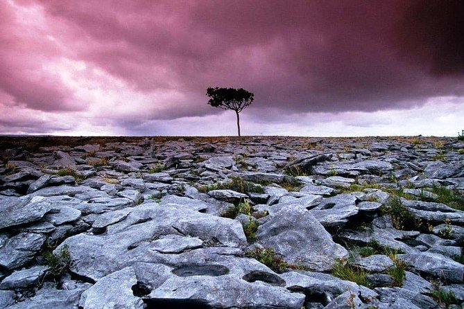 Cliffs of Moher, Aran Island & Burren tour from Galway. Guided. - The Burren ride is more than a transfer