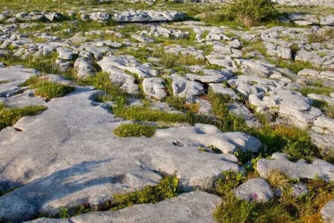 Cliffs of Moher, Burren and Galway 2 Days Private Chauffeur Tour - Two hours across the Burren