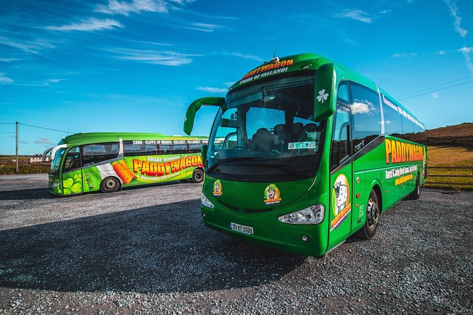 Cliffs of Moher Day Tour from Limerick: Wild Atlantic Way - From King John’s Castle to County Clare