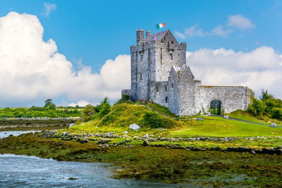Cliffs of Moher Full-Day Tour from Dublin - The Burren: pale stone and unusual plants