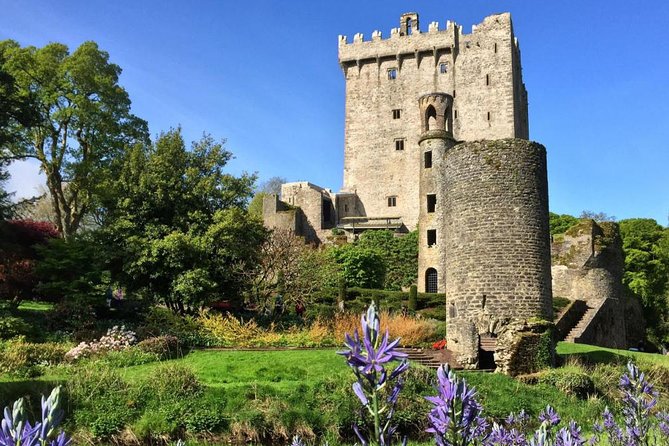 Cobh (Cork) to Blarney Castle & Kinsale - Shore Excursion - Physical demands and who should choose it