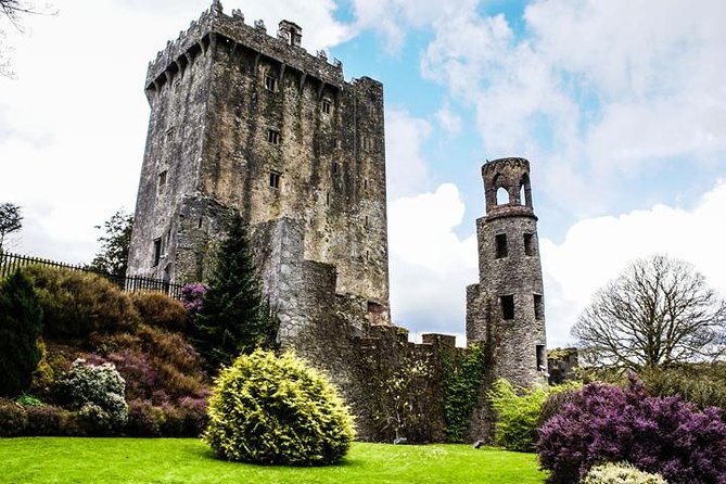 Cobh cruise excursion, Blarney, Cork & Kinsale. Car or Minibus. - Cork’s English Market And St. Fin Barre’s Cathedral