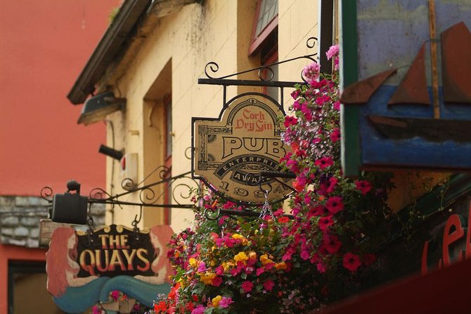 Connemara and Galway City Day Tour from Dublin - Who should book this day trip?