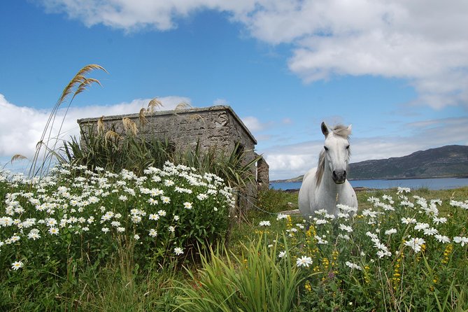 Connemara, Kylemore Abbey and Wild Atlantic Way tour from Galway - Why this Connemara day trip works