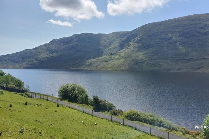 Connemara Sheep Farm experience & Kylemore Abbey by Lux Limousine - The Atlantic road through Carraroe and Spiddal