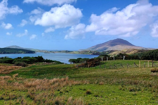 Connemara Sheep Farm experience & Kylemore Abbey by Lux Limousine - Price, extra fees, and who gets the best value