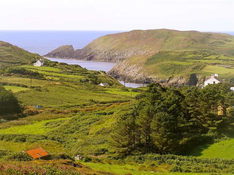 Cork: Fastnet Rock Lighthouse and Cape Clear Island Tour - Historic sights scattered across Cape Clear