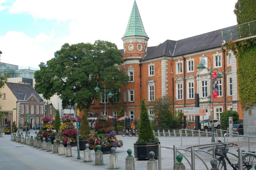 Cork: Guided Historical Walking Tour - Careys Lane and the Huguenot cemetery