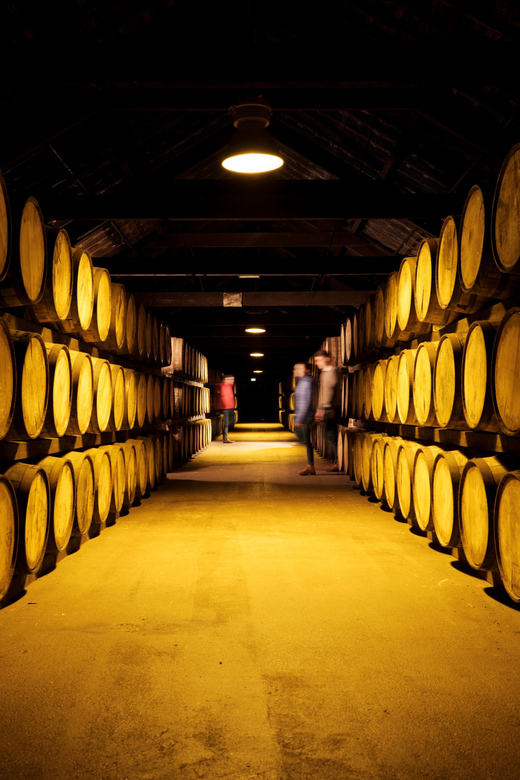 Cork: Midleton Distillery Behind the Scenes Tour & Tasting - Tasting premium whiskeys along the route