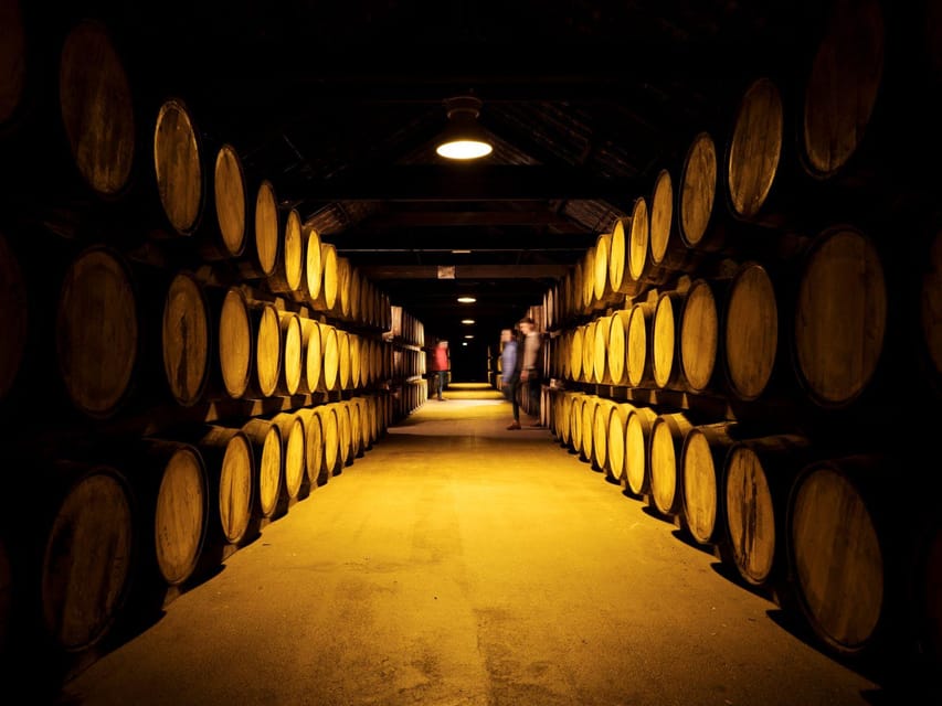Cork: Midleton Distillery (Jameson) Premium Whiskey Tasting - The atmosphere and the people