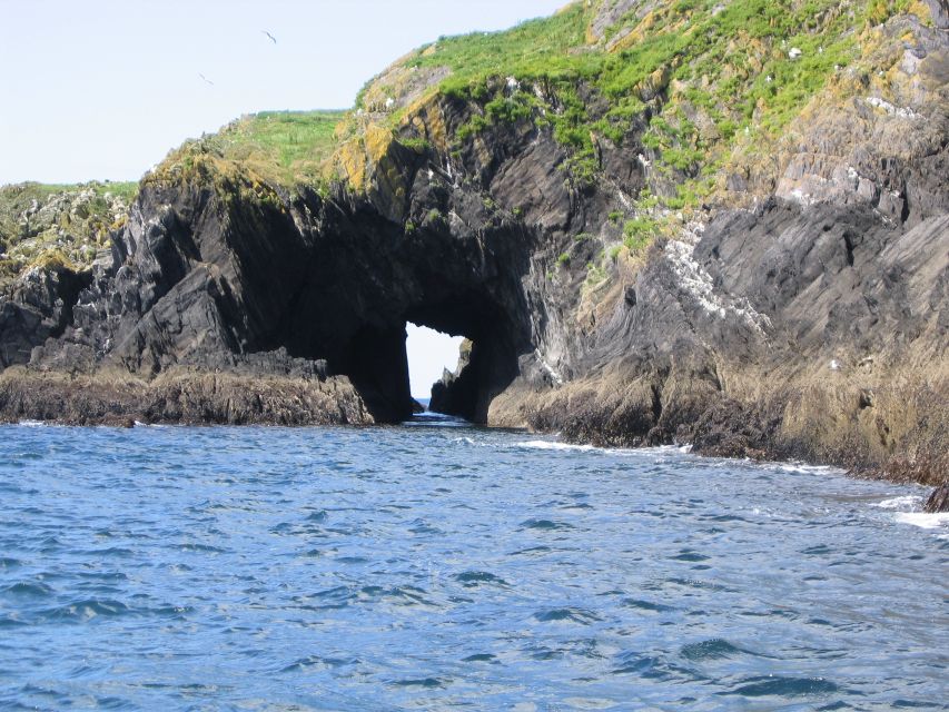 County Cork: Whale & Dolphin Watching Boat Trip - Deck views, indoor shelter, and sea conditions