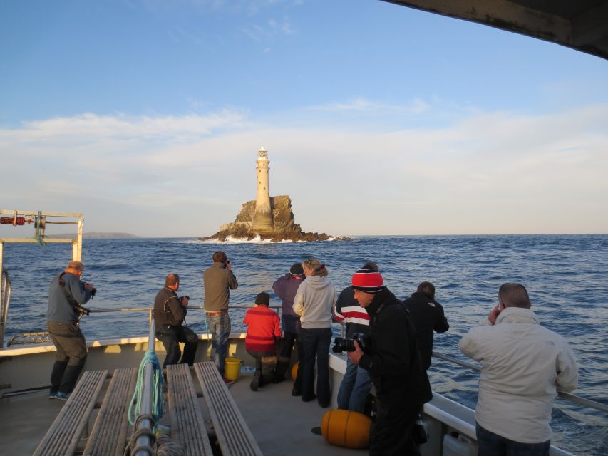 County Cork: Whale & Dolphin Watching Boat Trip - Who should book this trip?