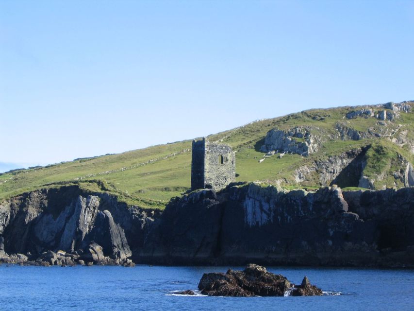 County Cork: Whale & Dolphin Watching Boat Trip - Watching for dolphins, whales, and seals