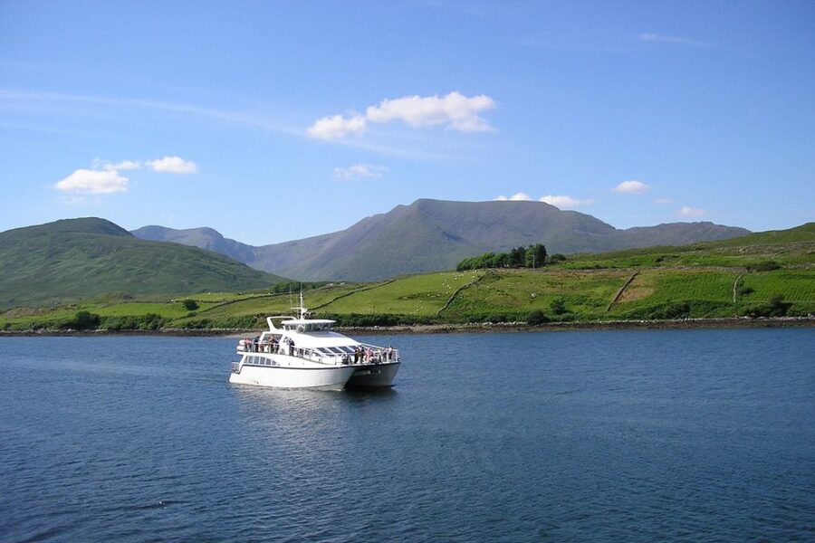 County Galway Killary Fjord 1.5-Hour Sightseeing Cruise - Starting at Nancy’s Point near Leenane
