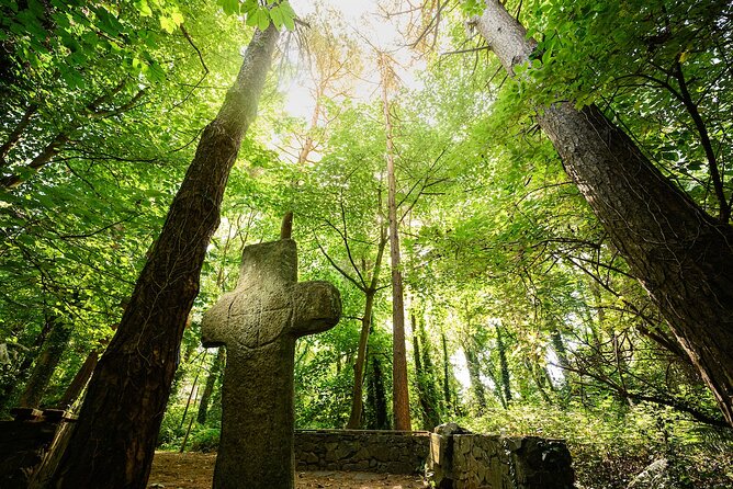 Courtown Woodland Guided Tour - Entering Courtown Woods with Lorraine