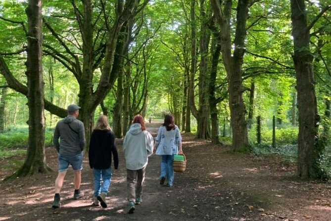 Courtown Woodland Guided Tour - Folklore beneath the branches