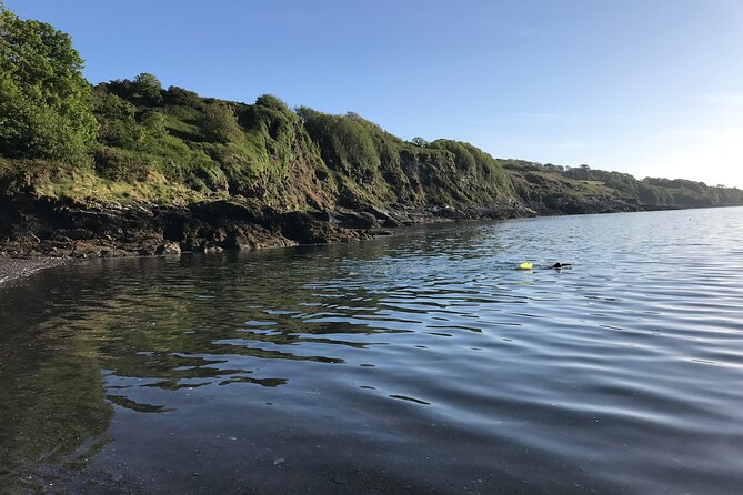 Dawn Pilgrimage and Swim in West Cork - Who will enjoy this most