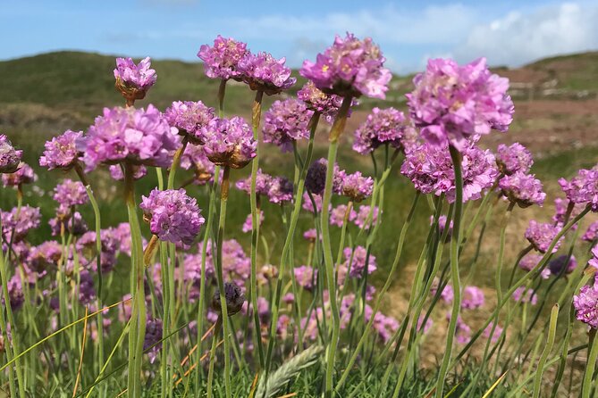 Dawn Pilgrimage and Swim in West Cork - What to bring and how to prepare