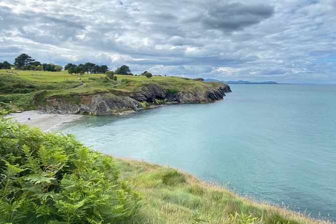 Day Tour from Dublin to Wicklow: Cliffs, Heritage, Wildlife, Gaol - Key points at a glance