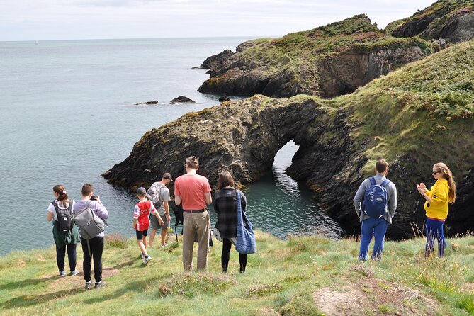 Day Tour from Dublin to Wicklow: Cliffs, Heritage, Wildlife, Gaol - Three lighthouses and the work of the coast