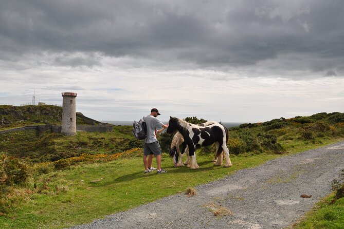 Day Tour from Dublin to Wicklow: Cliffs, Heritage, Wildlife, Gaol - Wicklow Town, a small place with a long past