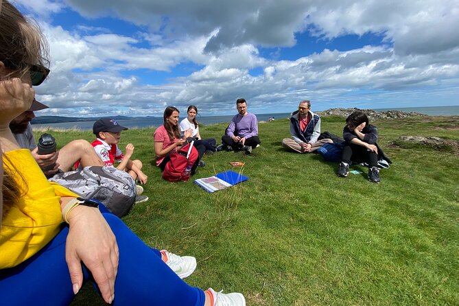 Day Tour from Dublin to Wicklow: Cliffs, Heritage, Wildlife, Gaol - Black Castle and the Norman story