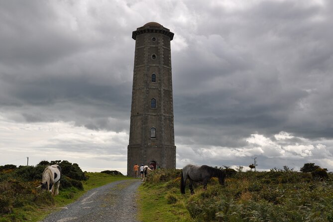 Day Tour from Dublin to Wicklow: Cliffs, Heritage, Wildlife, Gaol - Lunch, timing, and the real cost