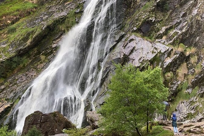 Day Tour from Dublin: Wicklow Mountains, Glendalough, Powerscourt - The guides and the human touch