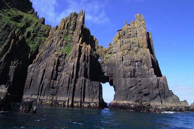 Dingle Boat Tours Wildlife RIB Adventure - Wildlife watching around the Blaskets