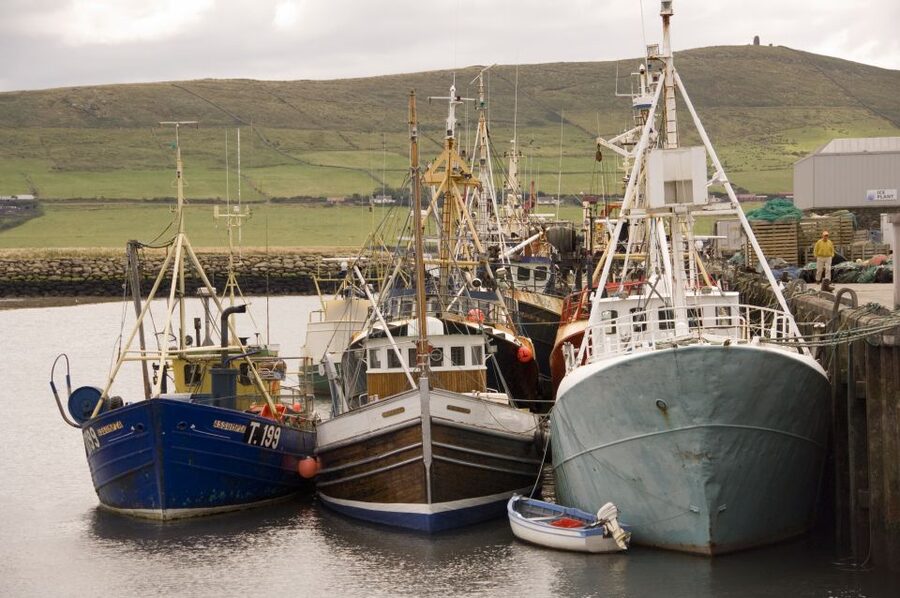 Dingle Day Tour from Limerick - Should you book the Dingle day tour?