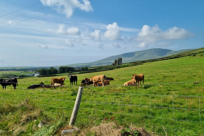 Dingle: Hour Slea Head Drive Tour 4hr - Personal Chauffeur Guide - Gallarus Oratory and the older stone sites