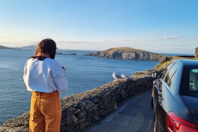 Dingle: Hour Slea Head Drive Tour 4hr - Personal Chauffeur Guide - Ventry Beach and the road toward the huts