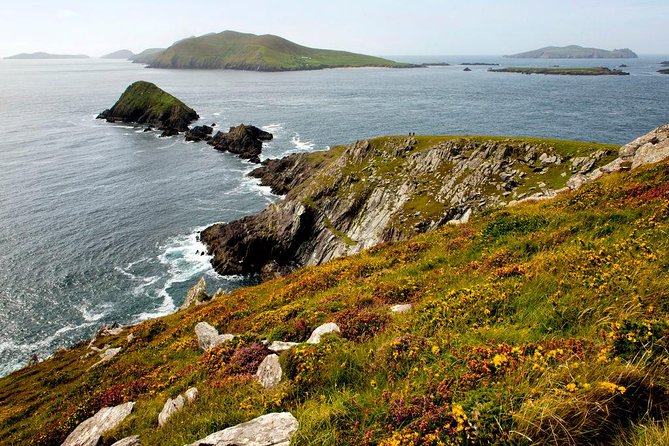 Dingle Peninsula Day Tour from Cork: Including The Wild Altanic Way - Guides, buses, and the quality of the commentary
