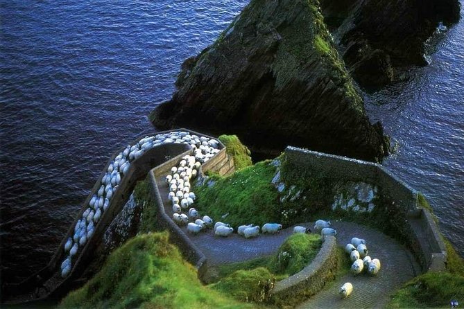 Dingle Peninsula Four Hour Private Tour - Ventry Harbour offers a quieter coastal pause
