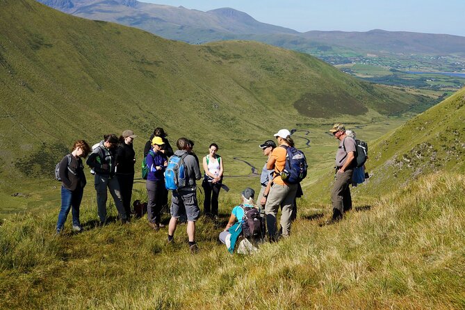 Dingle Peninsula Guided Walking Tour - Weather, clothing, and physical demands