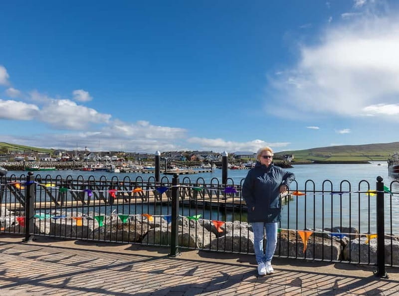 Dingle Peninsula & Slea Head Drive: Tour from Killarney - Starting in Killarney, Kenmare, or Tralee