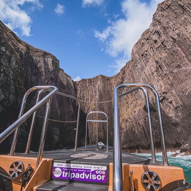 Dingle: Sea Safari by RIB Boat - Watching seals and seabirds in open water