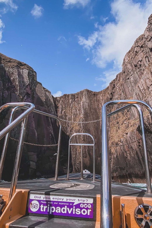 Dingle: Sea Safari by RIB Boat - Cliffs, caves, and the West Kerry coast