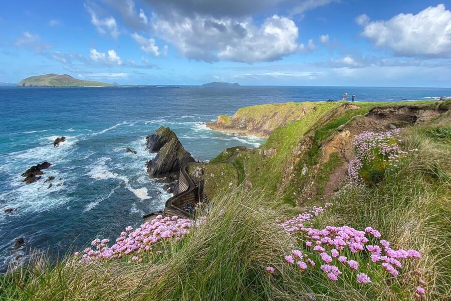 Dingle: Slea Head Photo And Sightseeing Tour - What the photography tuition is really worth