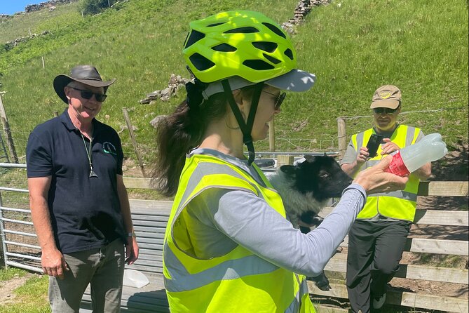 Discover Connemara Tour by Electric Fat Tyre Bike - Riding toward Loch Na Fooey