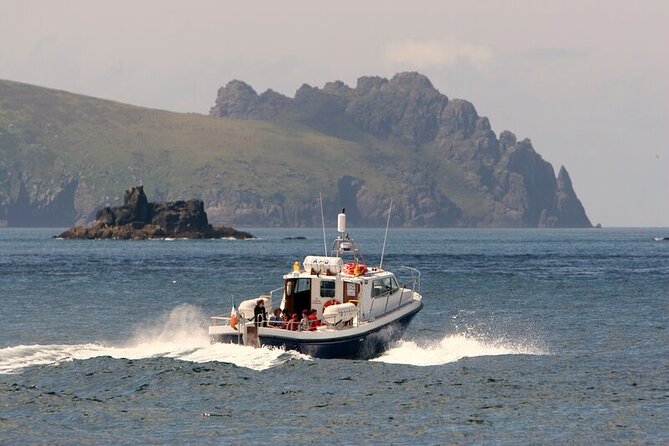 Dolphin & Whale Watching (4hrs) + Blasket Island Landing (3hrs) - What the wildlife search is really like