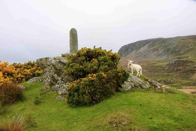 Donegal Coast One Day Self-Guided E-Bike Tour - What the $59.13 price includes
