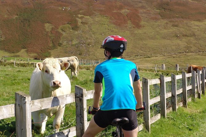 Donegal Coast One Day Self-Guided E-Bike Tour - Slieve League: the day’s great payoff