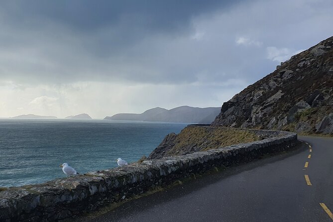 Dublin Airport to Galway ,Private Chauffeur Service - Booking and cancellation details worth noting
