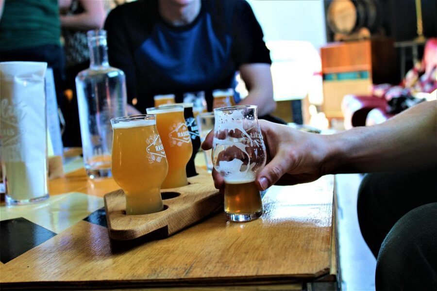 Dublin: Authentic Brewery Tour - The founders’ New Zealand inspiration