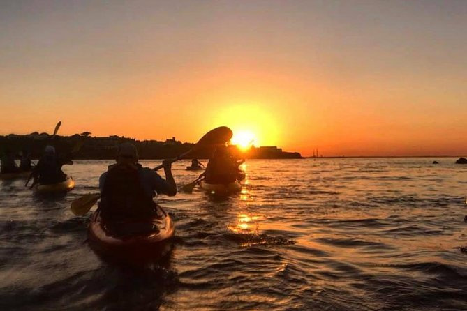 Dublin Bay Seal Kayaking Safari at Dalkey - Why Dublin Bay works so well from a kayak