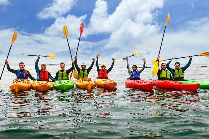 Dublin Bay Seal Kayaking Safari at Dalkey - Dalkey Island, ruins, and wide bay views