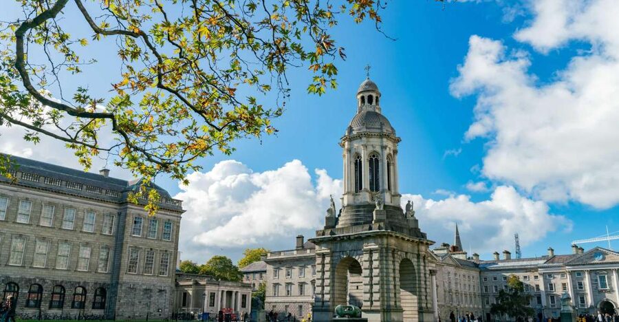Dublin City Walking Tour, Vikings, St. Partick, Highlights - Dublin Castle and the city’s Viking-era roots